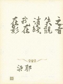 在我消失之前电影在线观看免费播放