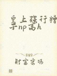 皇上强行糟蹋太子np高h