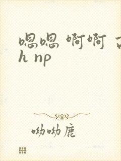 嗯嗯 啊啊 高h np封面