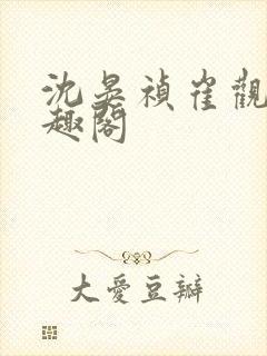 沈晏祯崔观颐笔趣阁