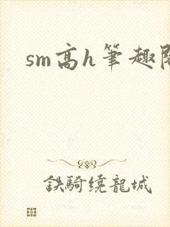 sm高h笔趣阁