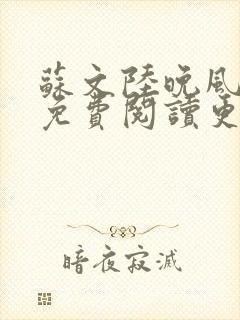 苏文陆晚风全文免费阅读更新时间是封面