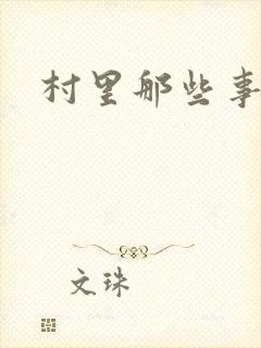 村里那些事封面