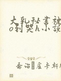 大乳秘书被cao到哭h小说封面