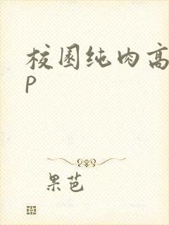 校园纯肉高hnp