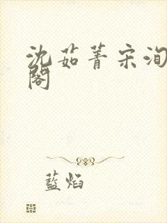 沈茹菁宋洵笔趣阁封面