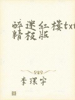 醉迷红楼txt精校版