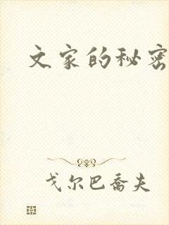 文家的秘密封面