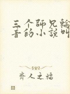 三个师兄轮流上音的小说叫什么封面