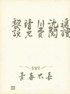 黎靖川沈遥初小说免费阅读最新章节