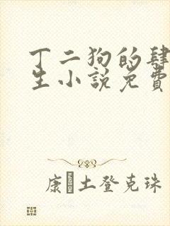 丁二狗的肆意人生小说免费