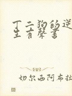 丁二狗的逆袭人生有声书