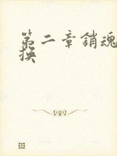 第二章销魂的交换