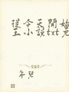 从今天开始做藩王小说txt免费下载