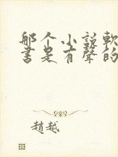 那个小说软件听书是有声的封面