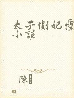 太子侧妃傻乎乎小说