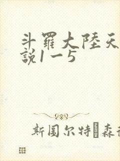 斗罗大陆天狂传说1一5