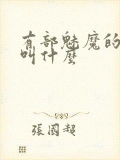 有部魅魔的动漫叫什么封面