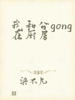 我和公gong在厨房