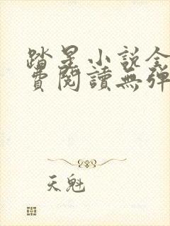 踏星小说全文免费阅读无弹窗封面