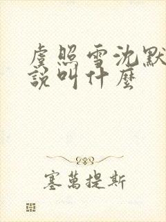 虞照雪沈默安小说叫什么