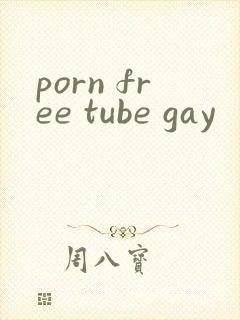 porn free tube gay封面