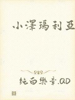 小泽玛利亚作品封面