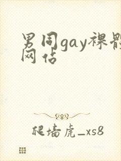 男同gay裸体网站