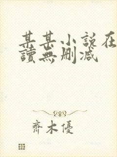 某某小说在线阅读无删减