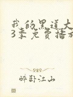 我的黑道大佬第3季免费播放在线观看封面