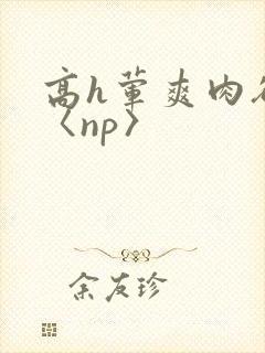 高h荤爽肉欲文〈np〉