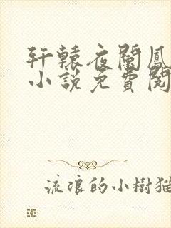 轩辕夜阑凤云倾小说免费阅读笔趣阁