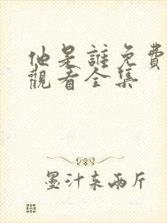 他是谁免费高清观看全集