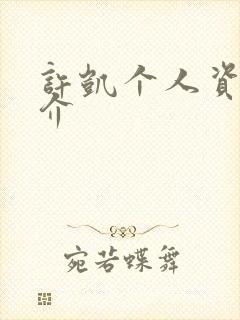 许凯个人资料简介