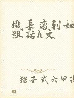 机长脔到她哭h粗话h文