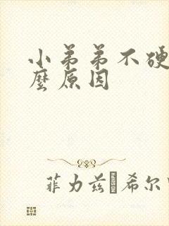 小弟弟不硬是什么原因