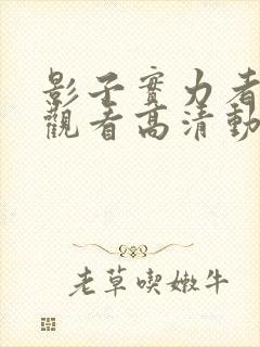 影子实力者在线观看高清动漫