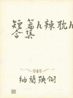 短篇h辣耽h文合集封面