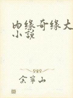 内缘奇缘大团圆小说