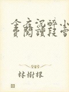 今夜沉醉小说免费阅读段雪娇林杰封面