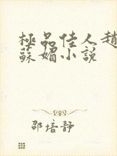 极品佳人赵大勇苏媚小说