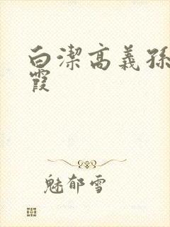 白洁高义孙倩苏霞封面