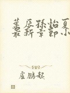 叶辰孙怡夏若雪最新章节小说心