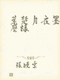 叶楚月夜墨寒怎么样封面