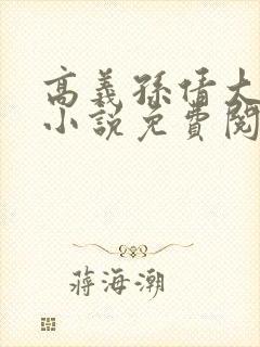 高义孙倩大团结小说免费阅读