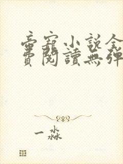 帝宠小说全文免费阅读无弹窗