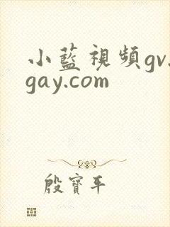 小蓝视频gv.gay.com封面