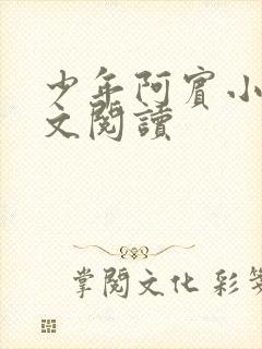 少年阿宾小说全文阅读