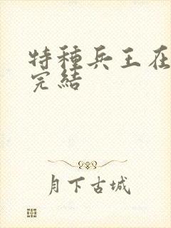 特种兵王在山村完结