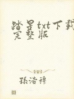 踏星txt下载完整版